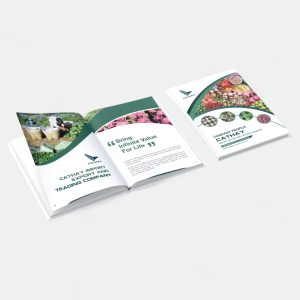 In catalogue bìa cứng gáy vuông – Thiết kế sang trọng