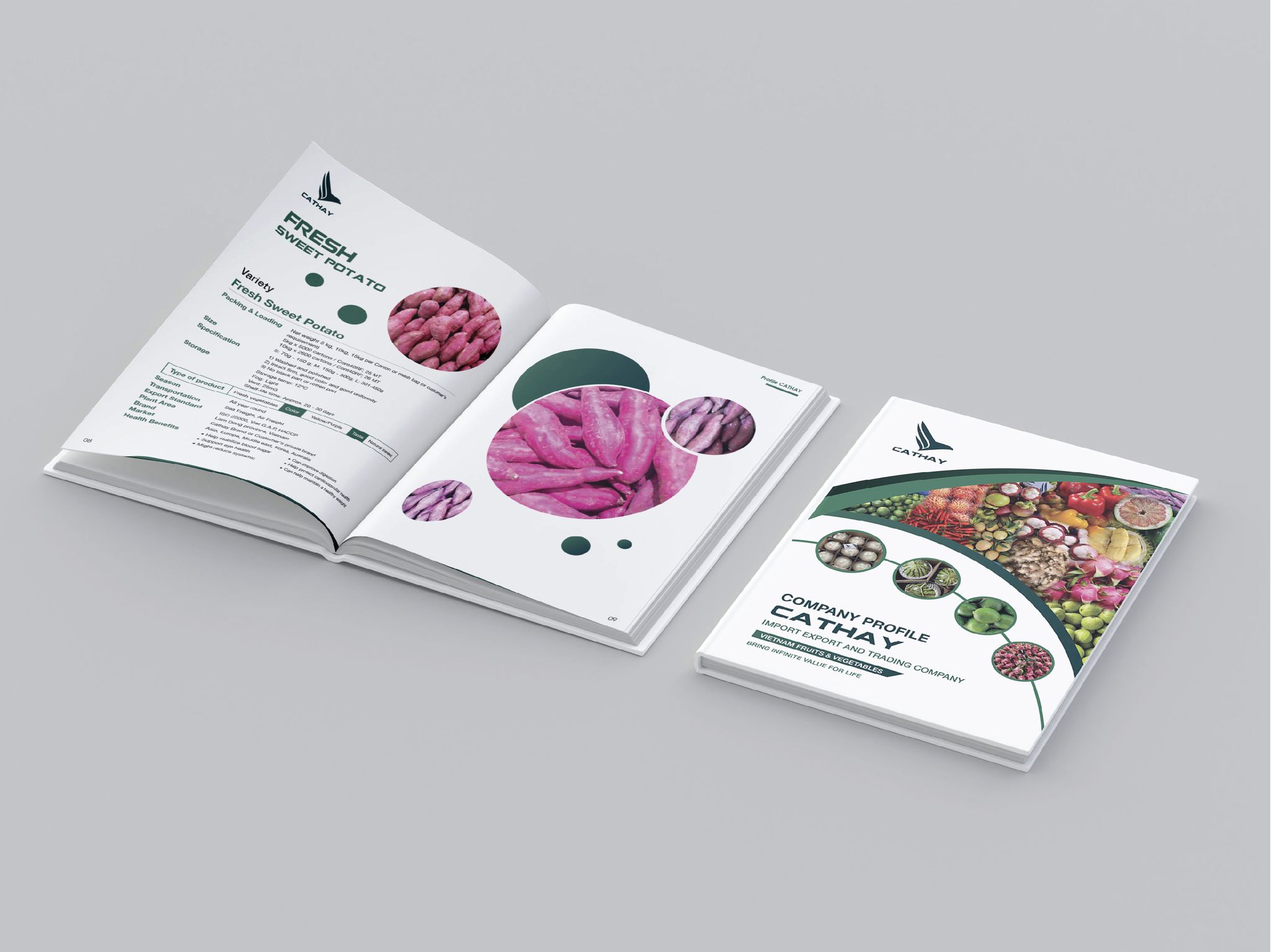 Catalogue bìa cứng gáy vuông, dễ dàng lưu trữ và bảo quản.