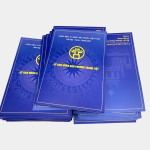 Mẫu kẹp file UBND màu xanh tím