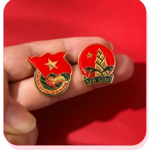 In huy hiệu Đội TNTP