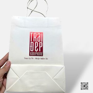 in túi kraft ép nhũ